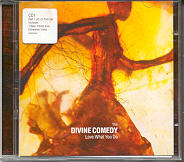 Divine Comedy - Love What You Do CD 1