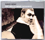 David Gray - Say Hello Wave Goodbye