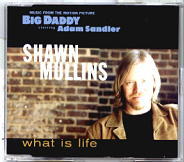 Shawn Mullins - What Is Life