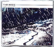 The Bees - Wash In The Rain