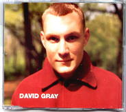 David Gray - Wisdom