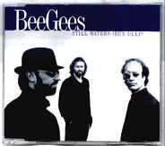 Bee Gees - Still Waters Run Deep CD 1