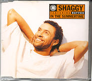 Shaggy - In The Summertime