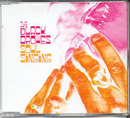 Black Crowes - Soul Singing CD 1