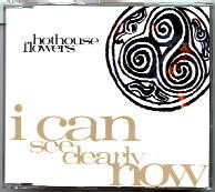 Hothouse Flowers - I Can See Clearly Now
