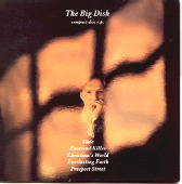 The Big Dish - Slide