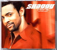 Shaggy - It Wasn't Me