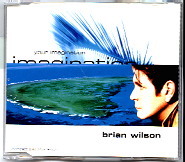 Brian Wilson - Your Imagination