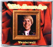 The Mike Flowers Pops - Wonderwall