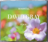 David Gray - Hospital Food