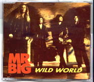 Mr Big - Wild World