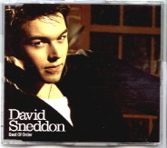 David Sneddon - Best Of Order