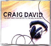 Craig David - You Don't Miss Your Water