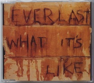 Everlast - What's It Like