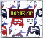 Ice T - Gotta Lotta Love