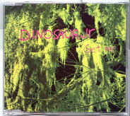 Dinosaur Jr - Get Me