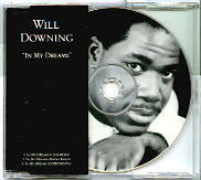 Will Downing - In My Dreams