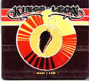 Kings Of Leon - What I Saw