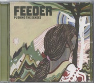 Feeder - Pushing The Senses