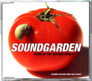 Soundgarden - Blow Up The Outside World