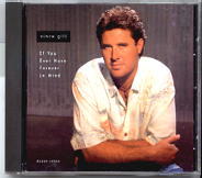 Vince Gill - If You Ever Have Forever In Mind