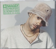 Shaggy - Something Different / The Train Is Coming