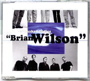 Barenaked Ladies - Brian Wilson 2000