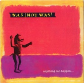 Was Not Was - Anything Can Happen