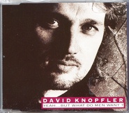 David Knopfler - Yeah...But What Do Men Want?