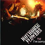 Hothouse Flowers - I'm Sorry