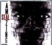 Seal - Amazing