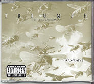 Wu-Tang Clan - Triumph