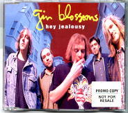 Gin Blossoms - Hey Jealousy