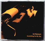 Ed Harcourt - Something In My Eye