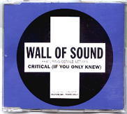 Wall Of Sound - Critical (If You Only Knew)