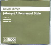 David James - (Always) A Permanent State