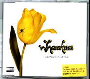 Wheatus - American In Amsterdam