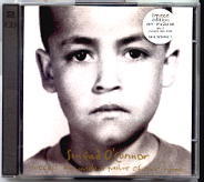 Sinead O'Connor - Success Has Made A Failure Of Our Home 2 x CD Set