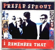 Prefab Sprout - I Remember That