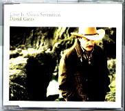 David Gates - Love Is Always Seventeen