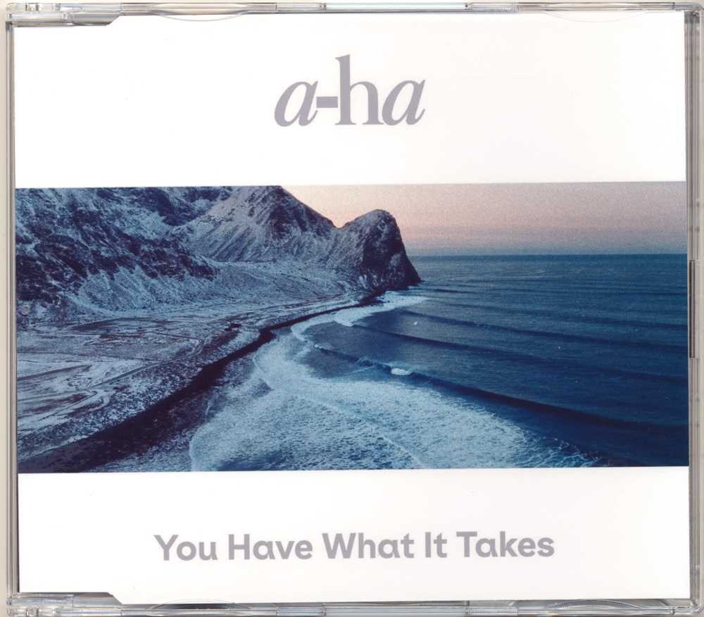 A-ha - You Have What It Takes