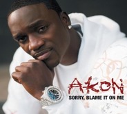 Akon - Sorry, Blame It On Me