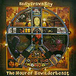 Badly Drawn Boy - The Hour Of Bewilderbeast