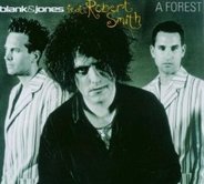 Blank & Jones Feat. Robert Smith - A Forest