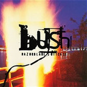 Bush - Razorblade Suitcase