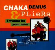 Chaka Demus & Pliers - I Wanna Be Your Man