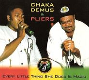 Chaka Demus & Pliers - Every Little Thing She Does Is Magic
