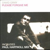 David Gray - Please Forgive Me