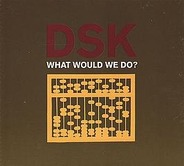 DSK - What Would We Do