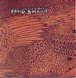 David Sylvian - I Surrender